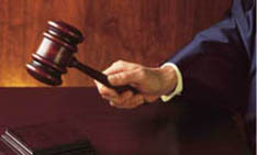 Judge